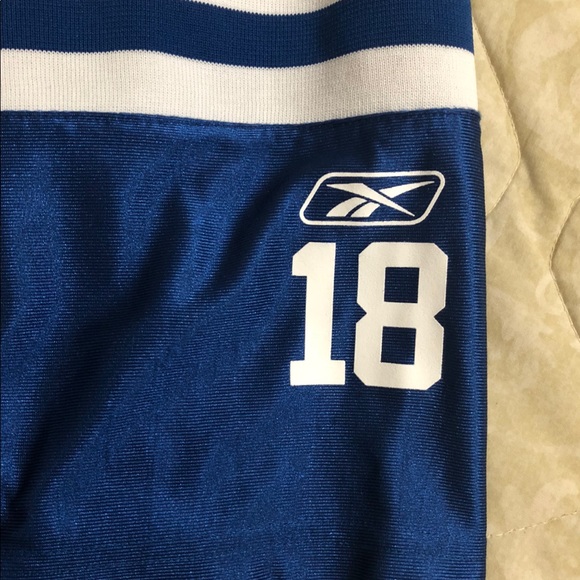 Indianapolis Colts Peyton Manning NFL jersey - Picture 6 of 6